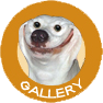 Galleries
